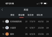 爱游戏-热刺新援表现抢眼，助球队取得连胜的简单介绍