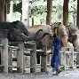 泰国象岭客场力克大关山丁联，收获宝贵分